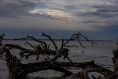 Driftwood-Beach-Sunset-101