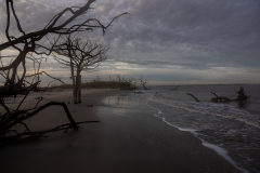 Driftwood-Beach-Sunset-105