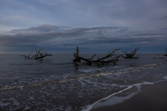 Driftwood-Beach-Sunset-108