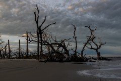 Driftwood-Beach-Sunset-112