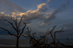 Driftwood-Beach-Sunset-127