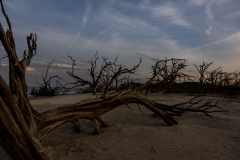Driftwood-Beach-Sunset-133
