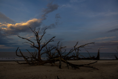 Driftwood-Beach-Sunset-136