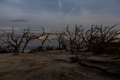 Driftwood-Beach-Sunset-138