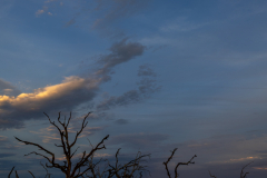 Driftwood-Beach-Sunset-143