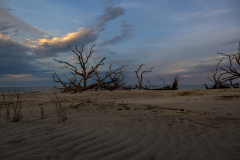 Driftwood-Beach-Sunset-145