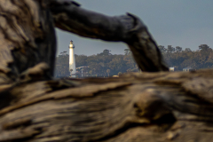 Driftwood-Beach-Sunset-Zooms-DN-18