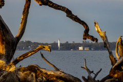 Driftwood-Beach-Sunset-Zooms-DN-21