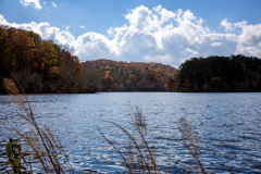 Little-Mulberry-Park-Autumn-2025-062