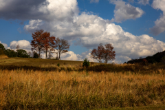 Little-Mulberry-Park-Autumn-2025-069
