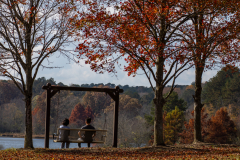 Little-Mulberry-Park-Autumn-2025-078