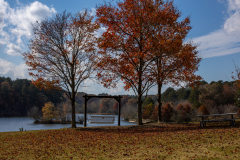 Little-Mulberry-Park-Autumn-2025-080