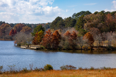 Little-Mulberry-Park-Autumn-2025-086