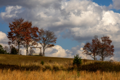 Little-Mulberry-Park-Autumn-2025-148