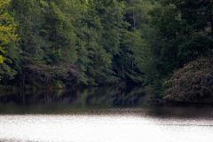 Little-Mulberry-Sunset-02 Little-Mulberry-Sunset-02