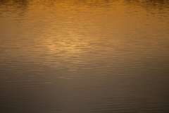 Little-Mulberry-Sunset-23