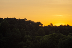 Little-Mulberry-Sunset-26