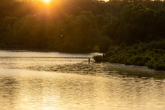 Little-Mulberry-Sunset-50 Little-Mulberry-Sunset-50