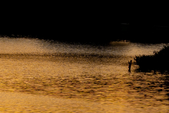 Little-Mulberry-Sunset-88 Little-Mulberry-Sunset-88