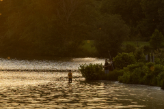 Little-Mulberry-Sunset-89 Little-Mulberry-Sunset-89