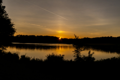 Little-Mulberry-Sunset-91