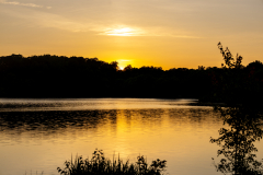 Little-Mulberry-Sunset-93 Little-Mulberry-Sunset-93