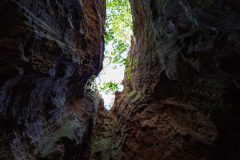 Canyon crevice look up Canyon crevice look up