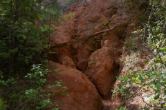 Canyon bottom Canyon bottom