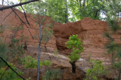 Canyon layers