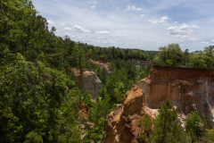 Canyon from top, tree heavy Canyon from top, tree heavy