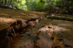 Water on canyon floor Water on canyon floor