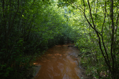 Canyon water road Canyon water road