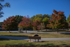 Dad-Bench-Long-Shot