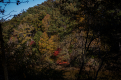 Woods-Across-River-Colors-Middle Woods-Across-River-Colors-Middle