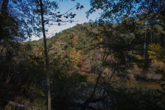 Woods-across-river-colors Woods-across-river-colors