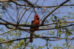 Spring-2025-28 Spring-2025-28