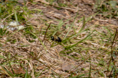 Spring-2025-30 Spring-2025-30