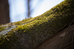 Spring-2025-34 Spring-2025-34