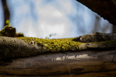 Spring-2025-35 Spring-2025-35