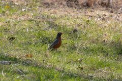 Spring-2025-38 Spring-2025-38