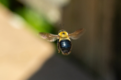 Searching-for-Spring-2026-122