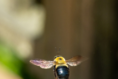 Searching-for-Spring-2026-123