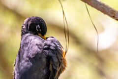 Searching-for-Spring-2026-134