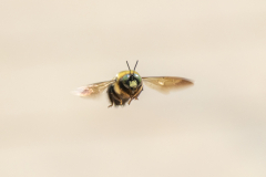 Searching-for-Spring-2026-138