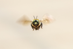 Searching-for-Spring-2026-139