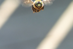 Searching-for-Spring-2026-142