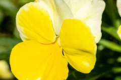 Searching-for-Spring-2026-68