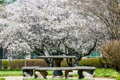 Searching-for-Spring-2026-80