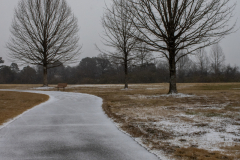 Alexander-Park-Snow-003