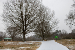 Alexander-Park-Snow-004